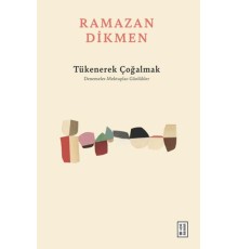 Tükenerek Çoğalmak Denemeler, Mektuplar, Günlükler
