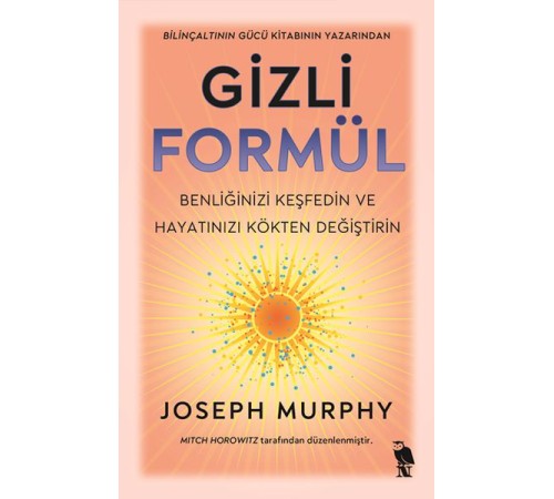Gizli Formül