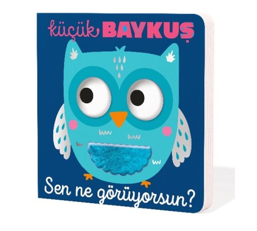 Küçük Baykuş Sen Ne Görüyorsun?