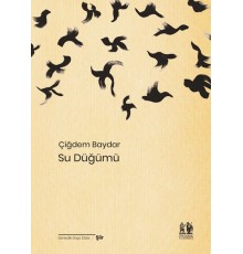 Su Düğümü