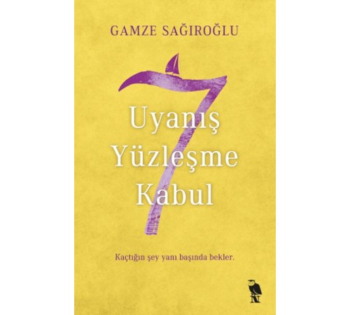 7 Uyanış Yüzleşme Kabul 7 Uyanış Yüzleşme Kabul