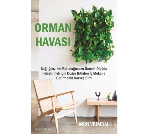 Orman Havası Orman Havası