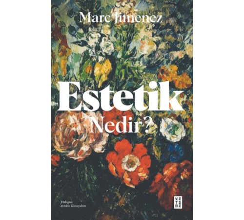 Estetik Nedir ?