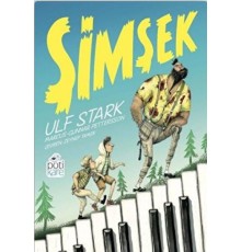 Şimşek