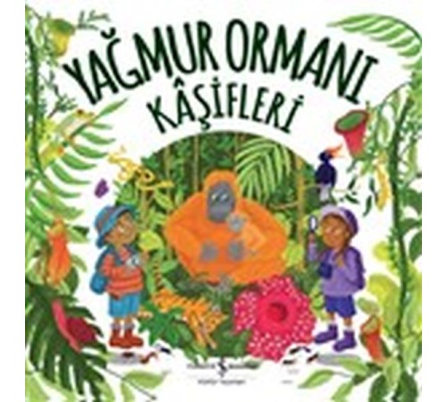 Yağmur Ormanı Kaşifleri