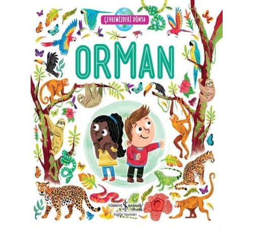Orman - Çevremizdeki Dünya