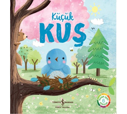 Küçük Kuş