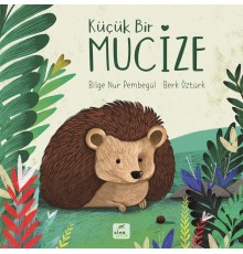 Küçük Bir Mucize