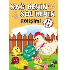 3 Yaş Sağ Beyin-Sol Beyin Gelişimi