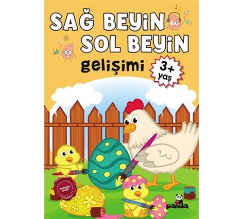 3 Yaş Sağ Beyin-Sol Beyin Gelişimi
