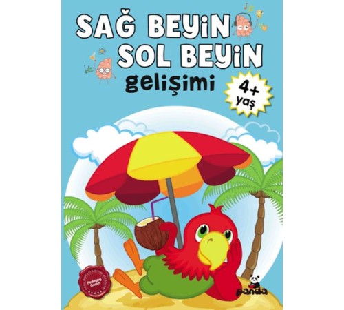Sağ Beyin-Sol Beyin Gelişimi 4+ Yaş Sağ Beyin-Sol Beyin Gelişimi 4+ Yaş
