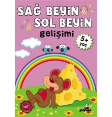 5 Yaş Sağ Beyin-Sol Beyin Gelişimi