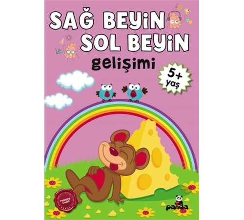 5 Yaş Sağ Beyin-Sol Beyin Gelişimi