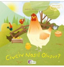 Oluşum Hikayeleri - Civciv nasıl oluşur?