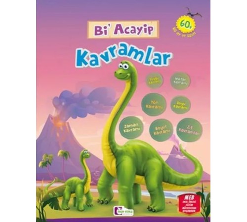 Bi Acayip Kavramlar Bi Acayip Kavramlar