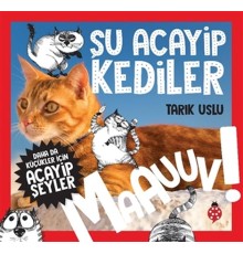 Daha Küçükler İçin Şu Acayip Kediler