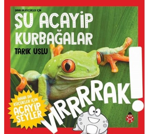 Daha Küçükler İçin Şu Acayip Kurbağalar