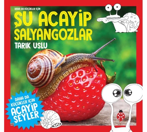 Daha Küçükler İçin Şu Acayip Salyangozlar