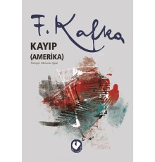 Kayıp (Amerika)