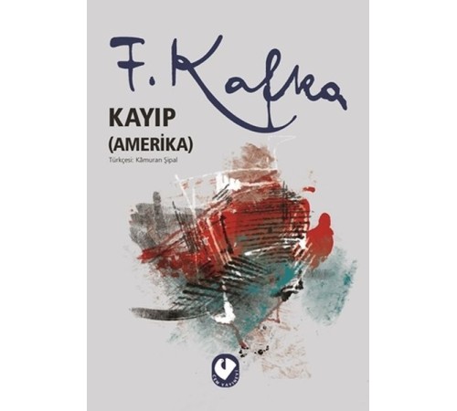 Kayıp (Amerika)