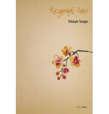 Rüzgardaki Sancı