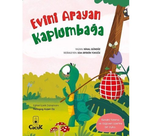 Evini Arayan Kaplumbağa