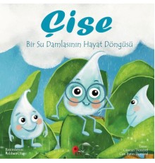 Çise: Bir Su Damlasının Hayat Döngüsü