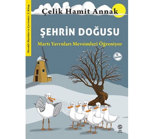 Şehrin Doğusu: Martı Yavruları Mevsimleri Öğreniyor - Meraklı Martılar ve Çevremiz 3. Kitap