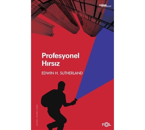 Profesyonel Hırsız