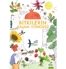 Bitkilerin Yaşam Döngüsü