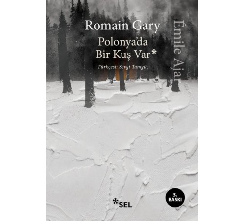Polonya'da Bir Kuş Var