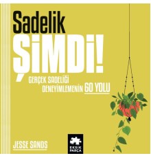 Sadelik Şimdi!