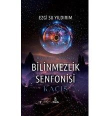 Bilinmezlik Senfonisi - Kaçış