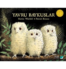 Yavru Baykuşlar
