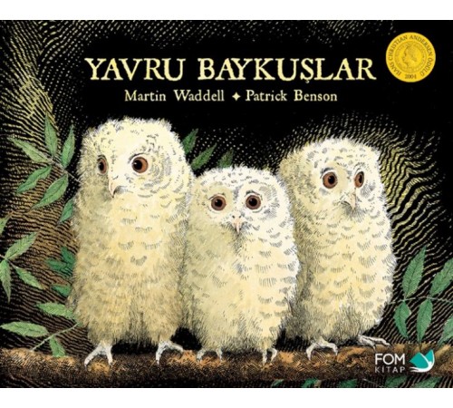 Yavru Baykuşlar