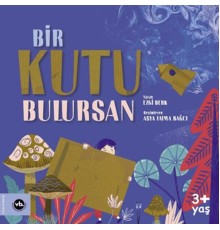 Bir Kutu Bulursan