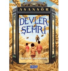 Asansör- 3 Devler Şehri