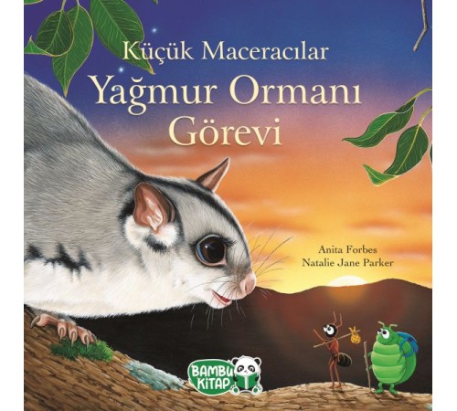 Küçük Maceracılar - Yağmur Ormanı Görevi Küçük Maceracılar - Yağmur Ormanı Görevi