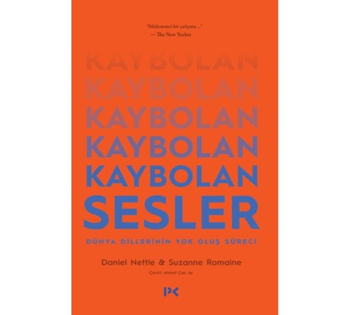Kaybolan Sesler Kaybolan Sesler