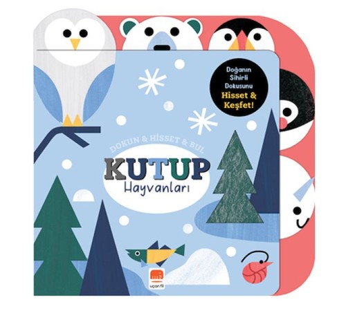 Dokun & Hisset & Bul Kutup Hayvanları