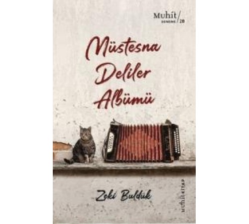 Müstesna Deliler Albümü