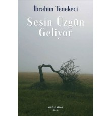 Sesin Üzgün Geliyor