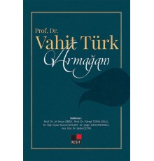 Prof. Dr. Vahit Türk Armağanı