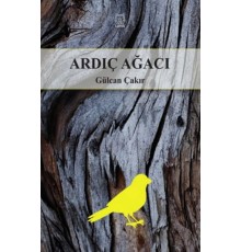 Ardıç Ağacı