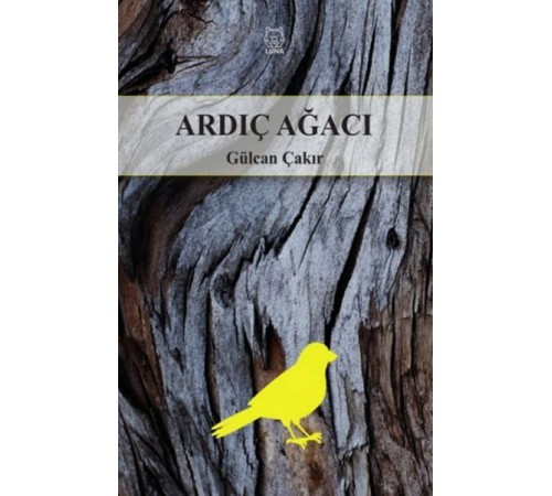 Ardıç Ağacı Ardıç Ağacı