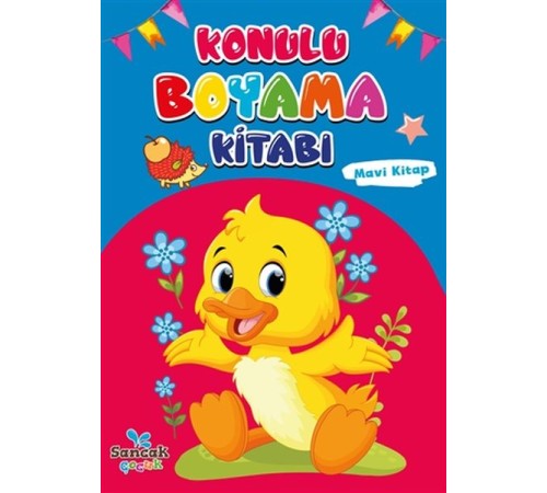 Konulu Boyama Kitabı - Mavi Kitap