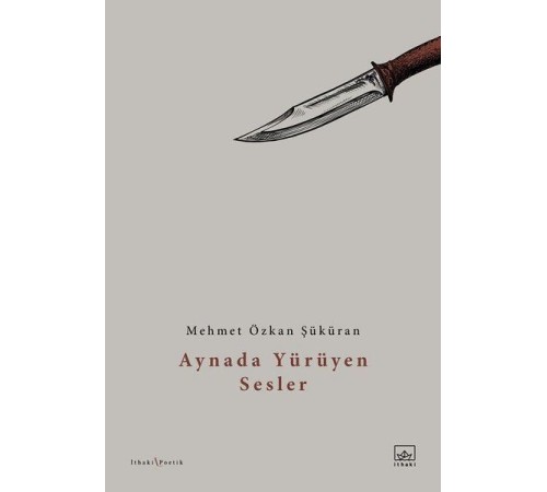 Aynada Yürüyen Sesler