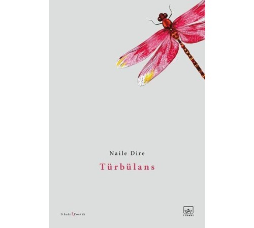 Türbülans Türbülans