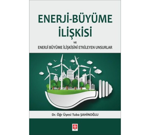 Enerji-Büyüme İlişkisi ve Enerji Büyüme İlişkisini Etkileyen Unsurlar