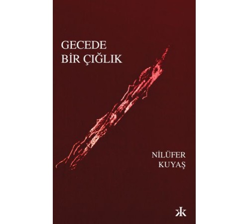 Gecede Bir Çığlık